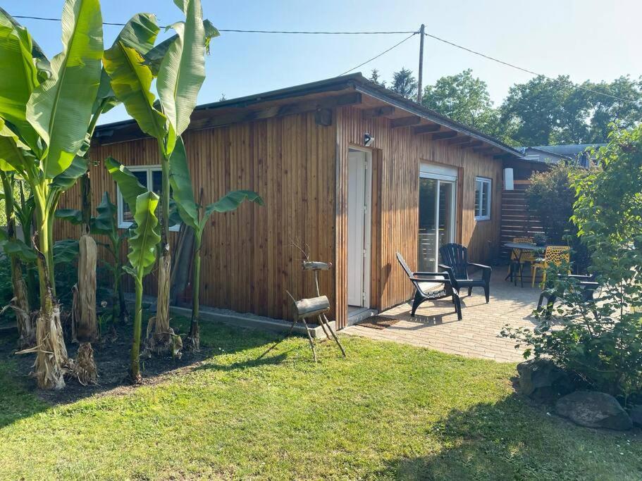 Gite Vogelau Schiltigheim Exteriör bild